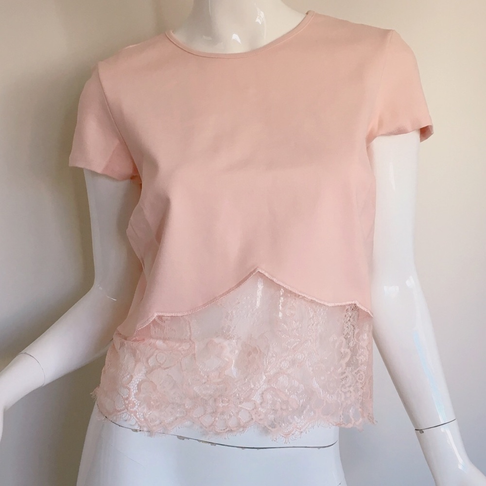 Bebe Lace Crop Top L